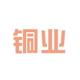 遼寧銅業(yè)集團(tuán)工作環(huán)境與職業(yè)發(fā)展探析